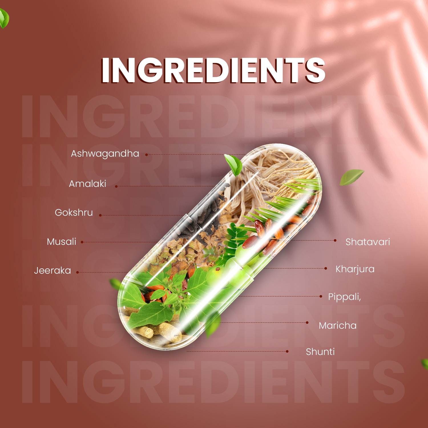 Ayurvedic Weight Gainer Supplement Powder and Capsules 500 gm Powder with 60 Capsules Combo. - Image 12