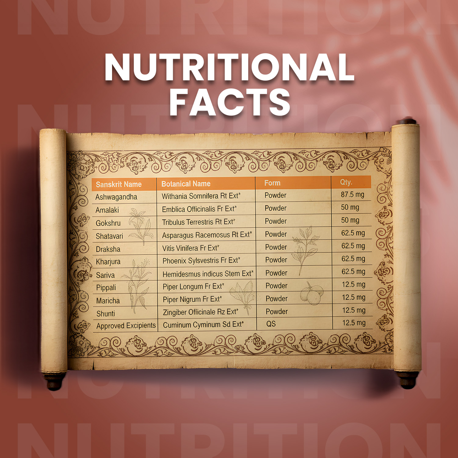 Ayurvedic Weight Gainer Supplement Powder for Women and Men Chocolate Flavour 500 gm (pack of 2) - Image 6