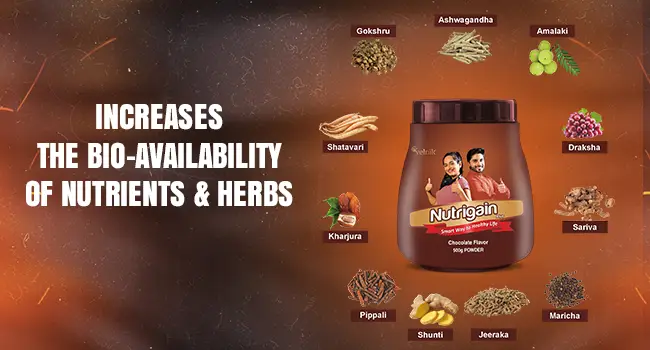 ee9d1950-c9ed-4169-aeb5-04e23c55f4e4.__CR00650350_PT0_SX650_V1___